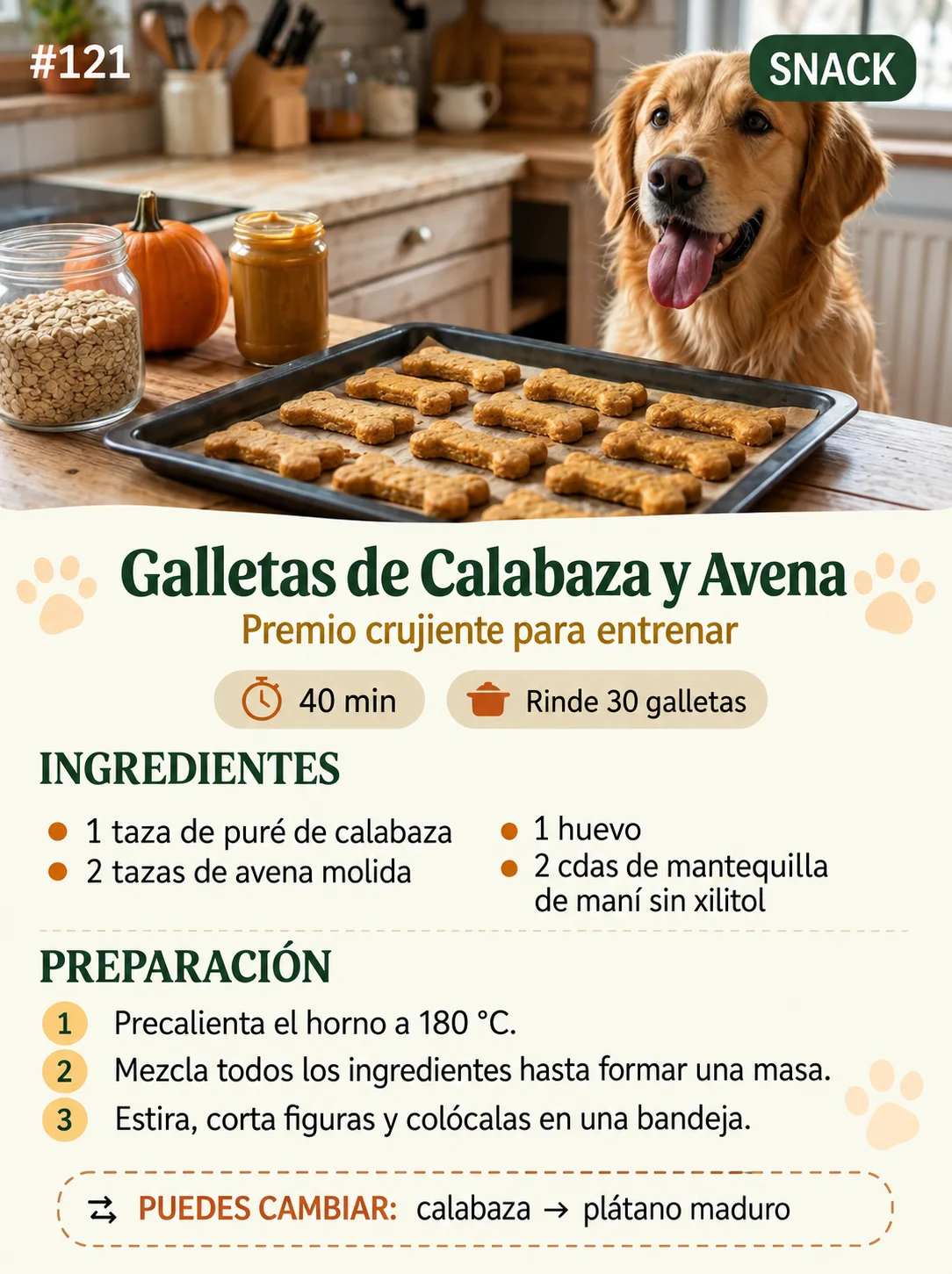 Receta 121: Galletas de Calabaza y Avena, con un golden retriever en la cocina