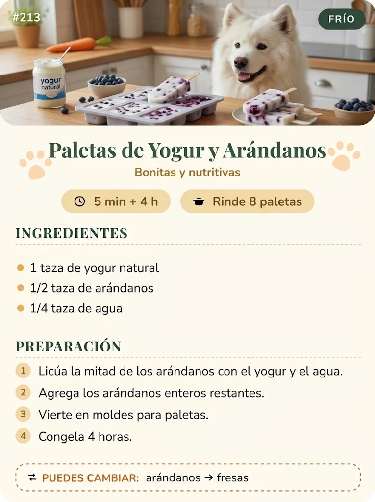 Receta 213: Paletas de Yogur y Arándanos, con un samoyedo en la cocina