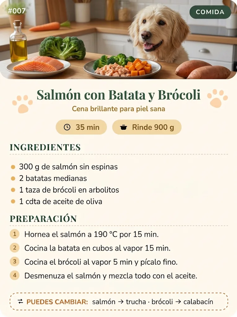 Receta 007: Salmón con Batata y Brócoli, con un cachorro de golden retriever en la cocina